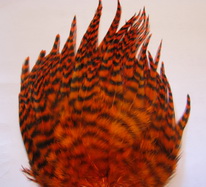 rooster saddle ������ ���������  (�������� �������� ����)
